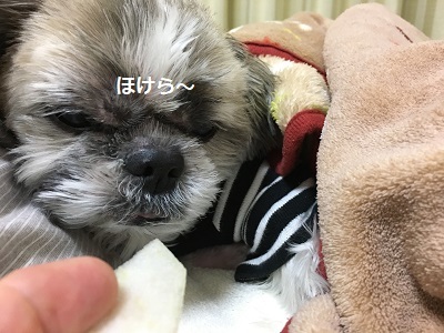 f0372998_18513779.jpg