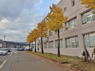 c0336902_19331349.jpg