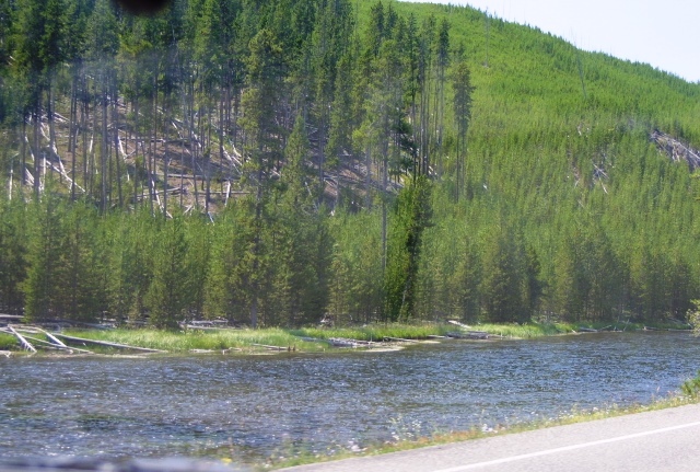 c0062603_12381232.jpg