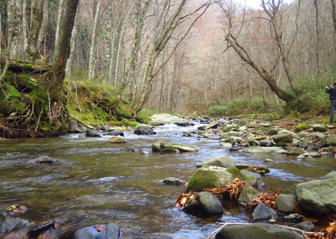 a0214206_14294311.jpg