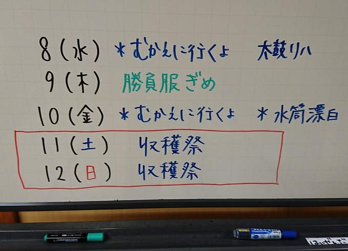 収穫祭２日前は「勝負服ぎめ？」…勝負ヘアースタイルぎめも_d0265607_21452324.jpg