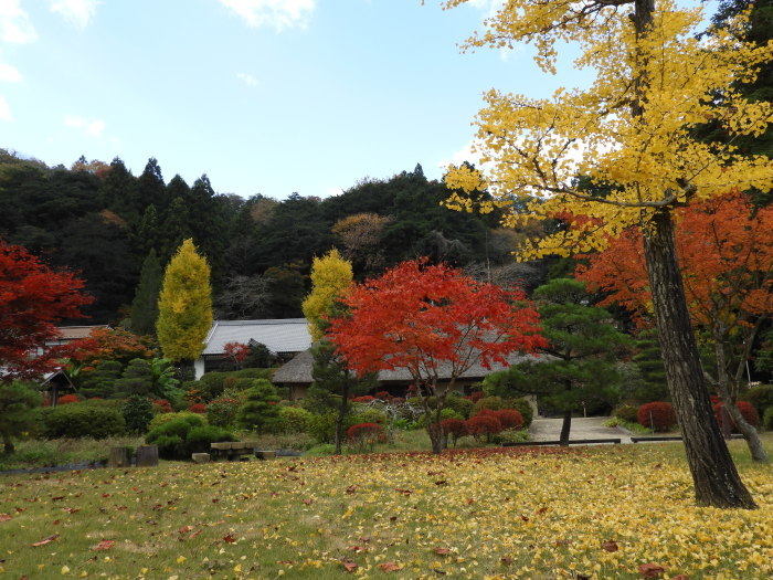 高蔵寺周辺の秋_f0228007_20402831.jpg