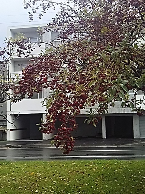 f0316507_17121980.jpg