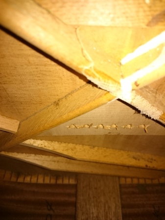 a0017909_22371400.jpg