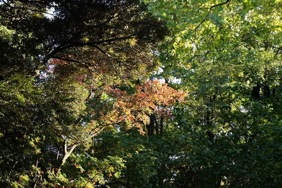 b0112909_19131625.jpg