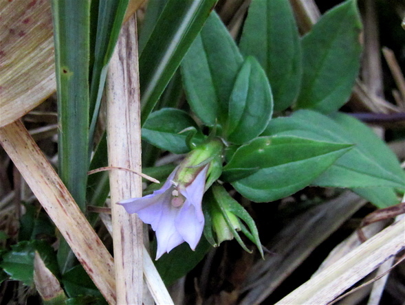 a0164011_23041538.jpg