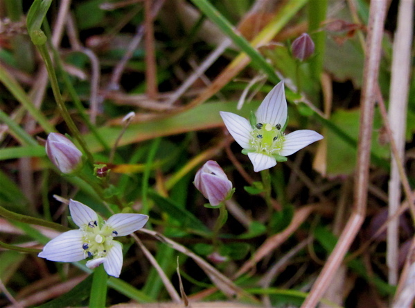 a0164011_23043477.jpg