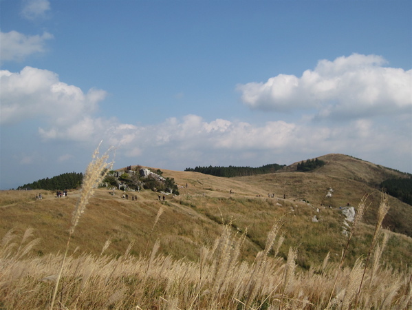 a0164011_23051816.jpg