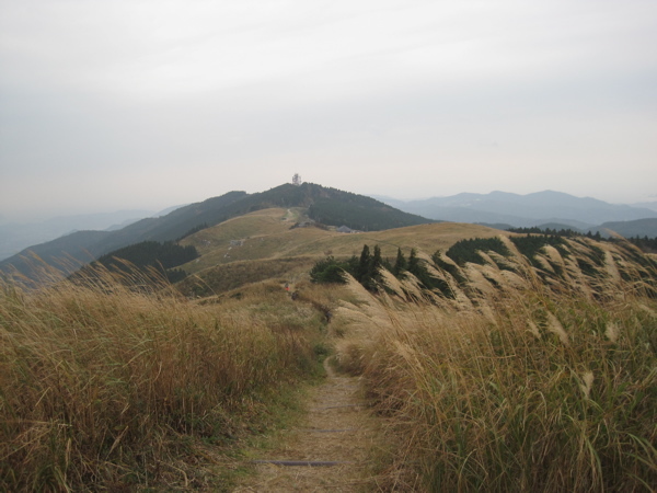 a0164011_23102041.jpg