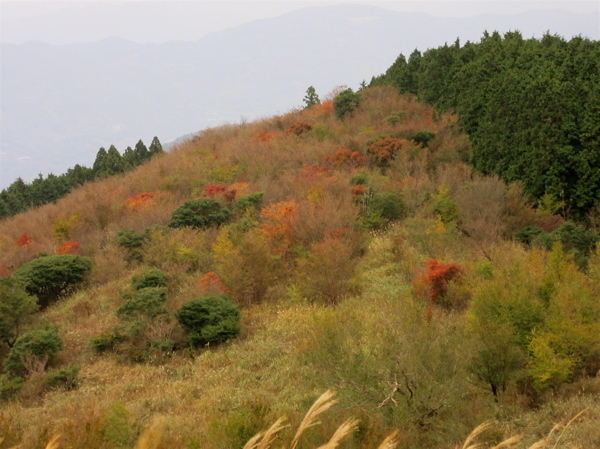 a0164011_23105853.jpg