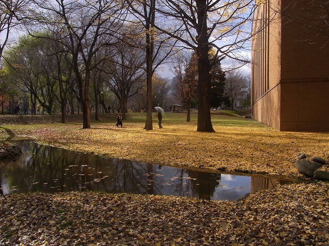 北大で久しぶりに食事_a0183811_18403486.jpg