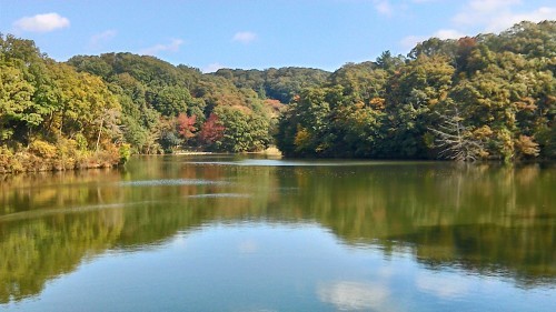 a0177314_21301451.jpg