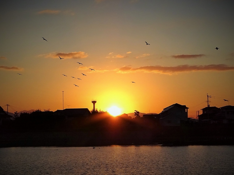 野多目大池 日の出 野鳥 17 10 31 写真の楽しみ