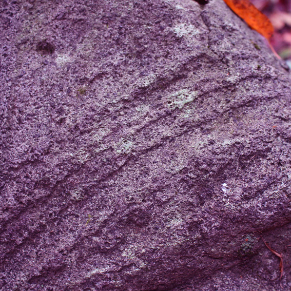 a0329820_19325819.jpg