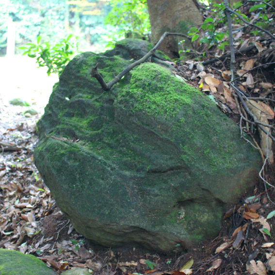 a0329820_19331292.jpg
