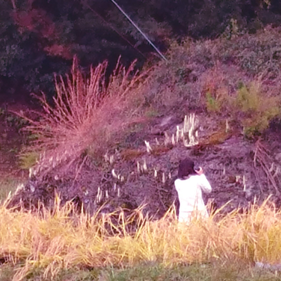 a0329820_22565601.jpg