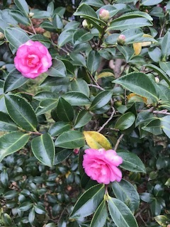 f0198926_00003995.jpg
