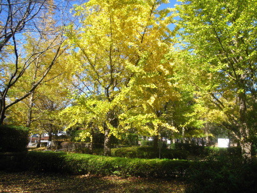 e0350927_19303132.jpg