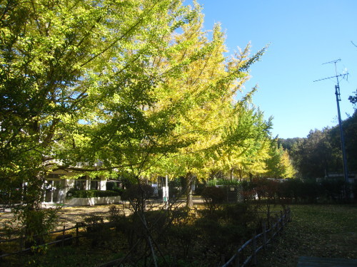 e0350927_19303853.jpg