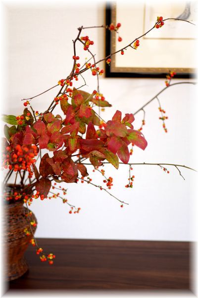 リビングに少しずつ赤いものが増えて秋から冬へ。_f0143227_20041766.jpg