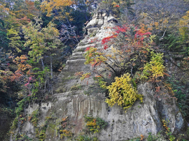 a0248728_17190938.jpg