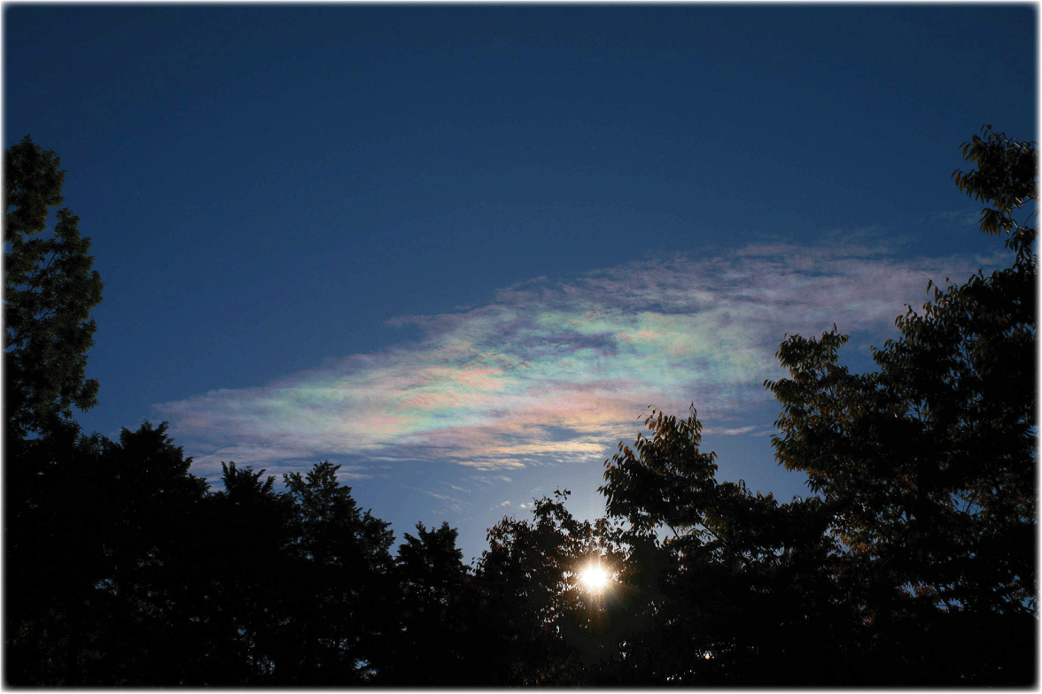 c0107829_16271311.gif
