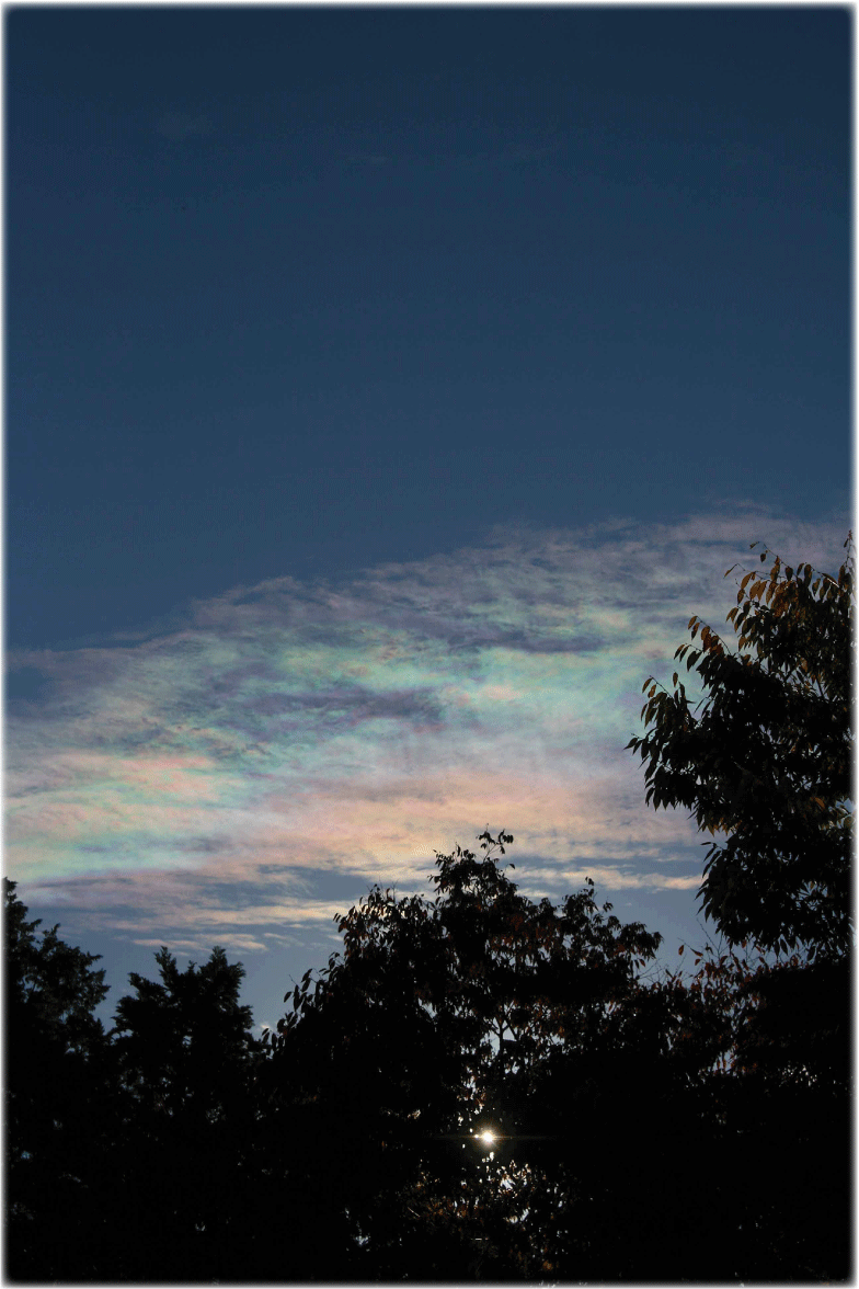 c0107829_16275550.gif
