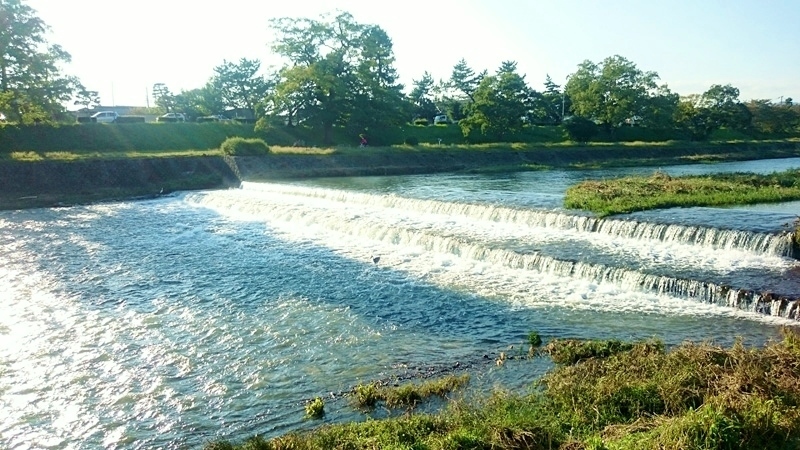 d0367529_06365943.jpg