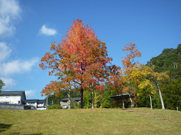 d0334331_21553776.jpg
