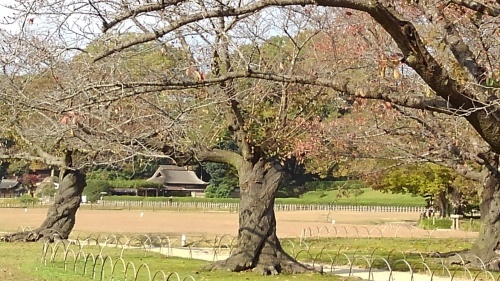 e0338831_22323837.jpg