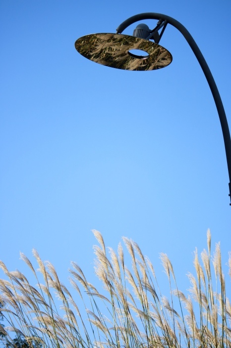 f0348831_22200121.jpg