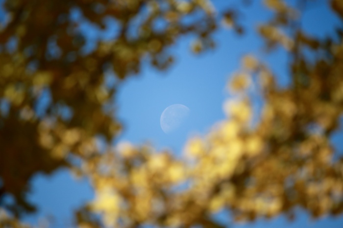 f0348831_22201436.jpg