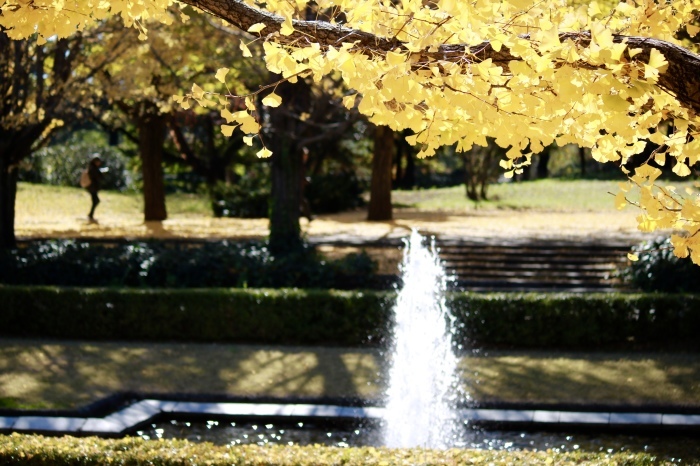 f0348831_22202599.jpg