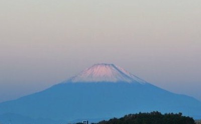 晴れたので..芋掘り_b0137932_14024696.jpg