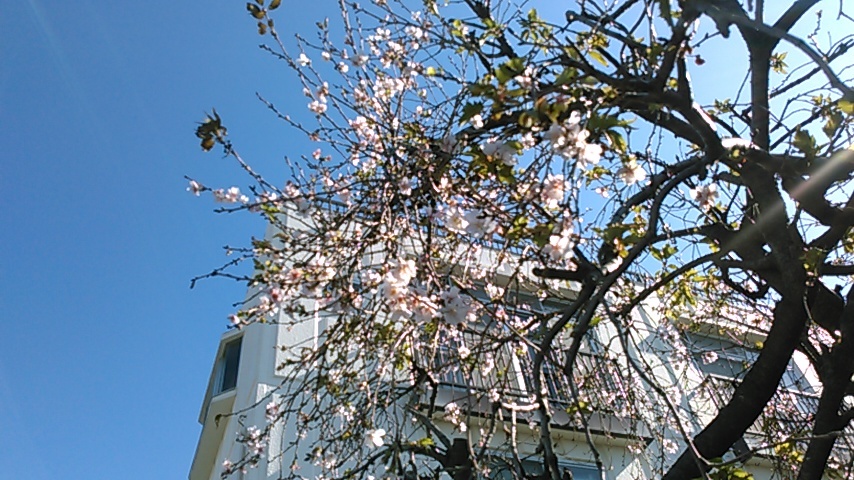 b0137932_21325228.jpg