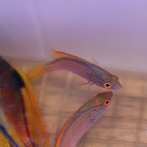 d0221436_20535826.jpg