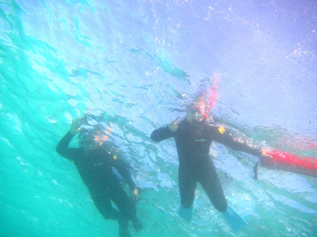 天気の良いうちに～(#^^#)_a0189838_08333958.jpg