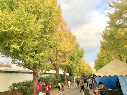 c0097838_23291224.jpg