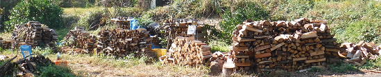 a0051539_19070399.png