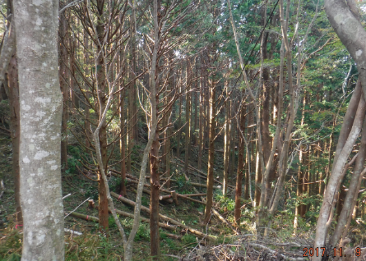 a0051539_19153367.png