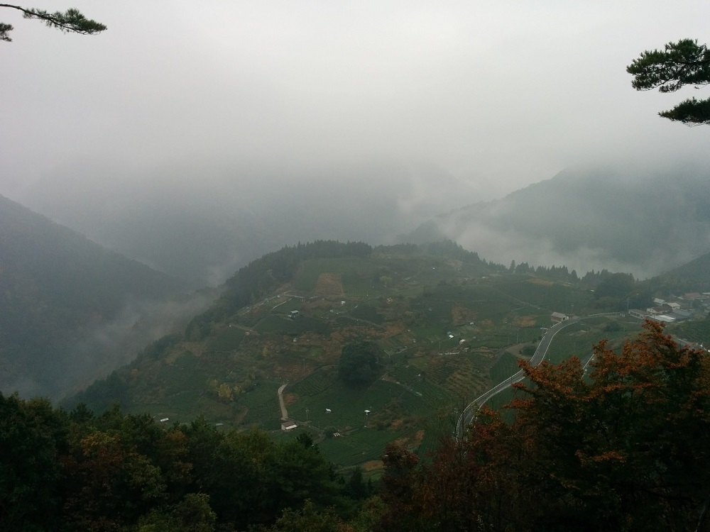 a0054040_22495601.jpg