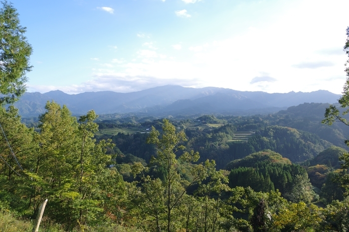 c0281841_13170669.jpg