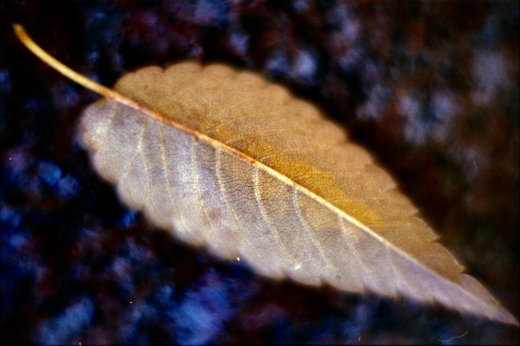 e0022344_12240824.jpg