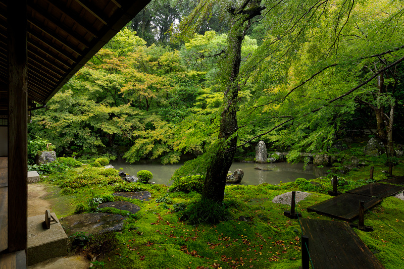 雨の蓮華寺_f0155048_21485580.jpg