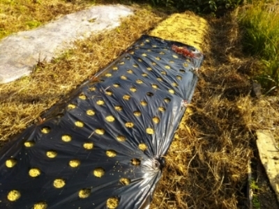 c0330749_18563574.jpg