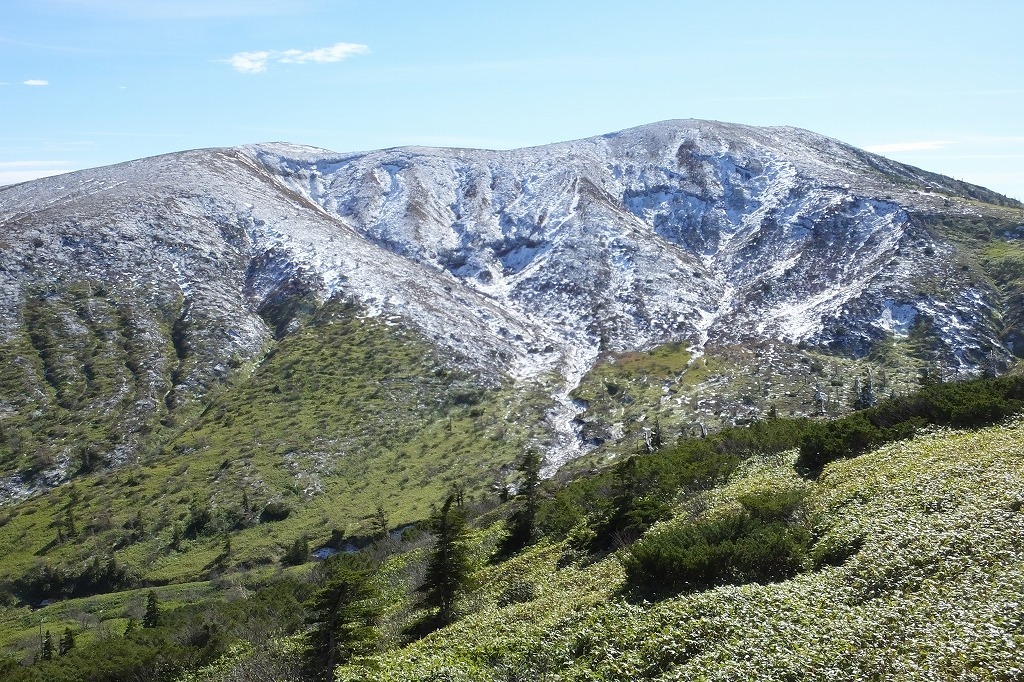 b0236251_13235425.jpg