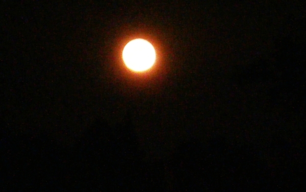a0174458_00032375.jpg
