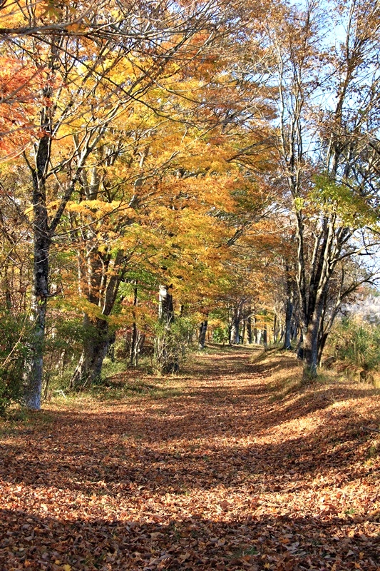 a0167759_17381777.jpg