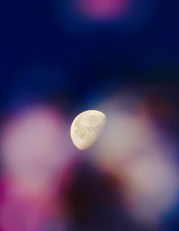 a0248459_14534970.jpg