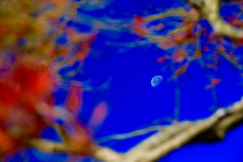 a0248459_14551859.jpg